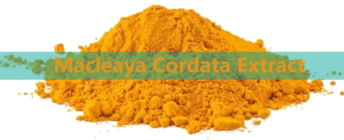 Macleaya Cordata Extract Factory.jpg